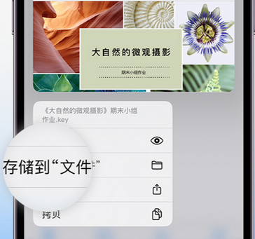 睢县apple维修中心分享iPhone文件应用中存储和找到下载文件