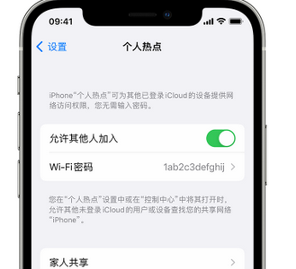 睢县apple服务站点分享iPhone上个人热点丢失了怎么办 