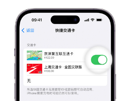 睢县apple维修点分享iPhone上更换Apple Pay快捷交通卡手绘卡面 