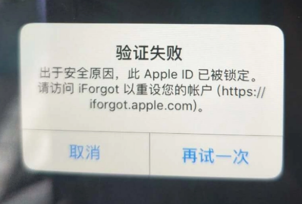 睢县iPhone维修分享iPhone上正常登录或使用AppleID怎么办 