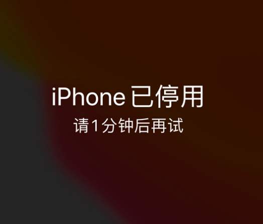 睢县苹果手机维修分享:iPhone 显示“不可用”或“已停用”怎么办？还能保留数据吗？ 