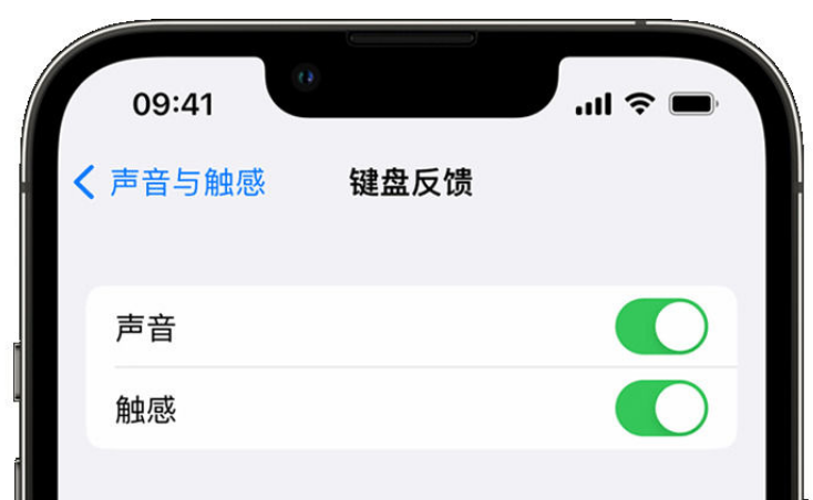 睢县苹果手机维修分享iPhone 14触感键盘使用方法 