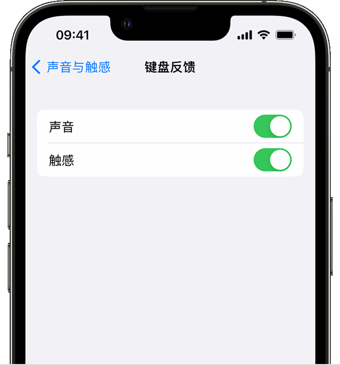 睢县苹果14维修店分享如何在 iPhone 14 机型中使用触感键盘 