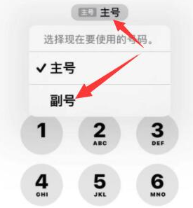 睢县苹果14维修店分享iPhone 14 Pro Max使用副卡打电话的方法 