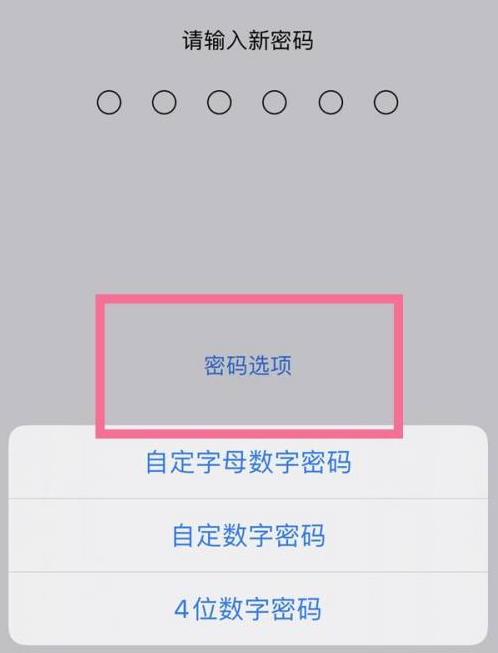 睢县苹果14维修分享iPhone 14plus设置密码的方法 