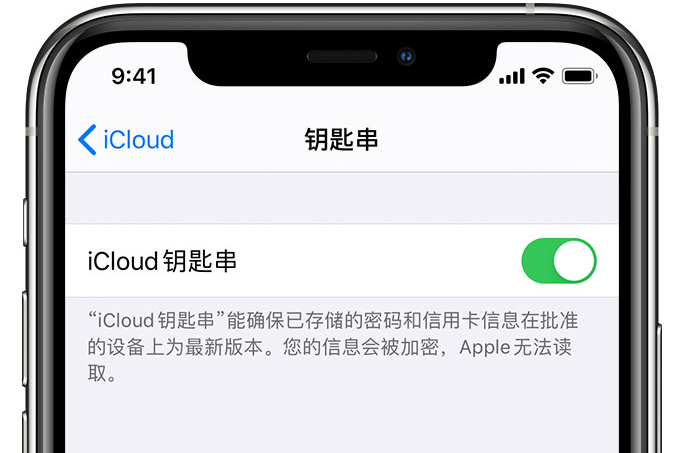 睢县苹果手机维修分享在 iPhone 上开启 iCloud 钥匙串之后会储存哪些信息 