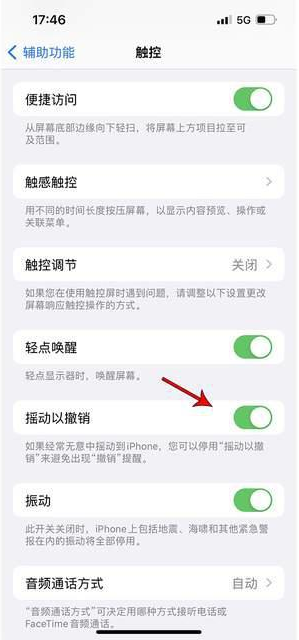 睢县苹果手机维修分享iPhone手机如何设置摇一摇删除文字 