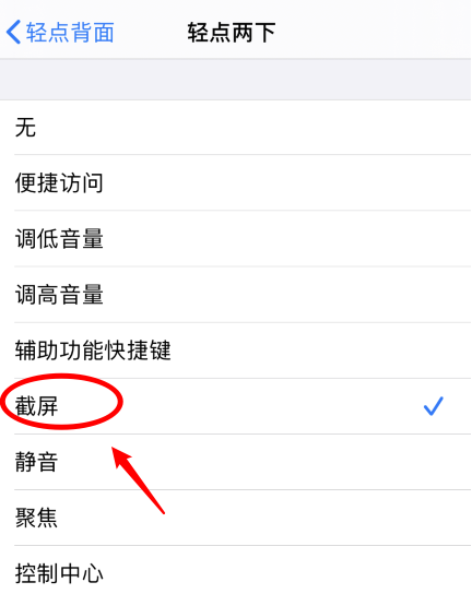 睢县苹果手机维修分享iPhone12如何启用双击截屏 